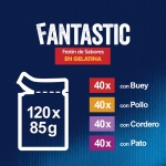 Felix Fantastic Megapack Comida Húmeda para Gatos en Gelatina Selección de Carnes y Aves