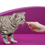 Whiskas Anti-Hairball Snacks para Gato Bolas de Pelo