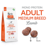 Brit care adult medium breed cordero arroz pienso para perros