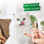 Gourmet Natures Creations Puree Snack Cremoso para Gatos con Buey