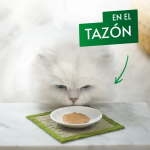 Gourmet Natures Creations Puree Snack Cremoso para Gatos con Pollo