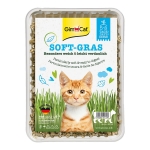 GimPet Soft-Grass Hierba Gatera para Gatos