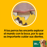 Pedigree-Sticks Pedigree Dentastix +25 Kg (1)