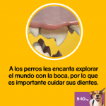 Pedigree-Dentastix 5-10 Kg Sticks Dentales (2)