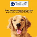 Pedigree Tasty Minis Snacks para Perros con Queso y Carne de Vacuno