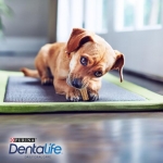 Purina Dentalife Snack Dental Perros Mini 42 Sticks
