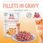 Brit care cat filetes en salsa con pollo latas para gato