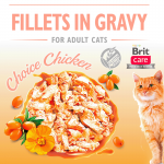 Brit care cat filetes en salsa con pollo latas para gato