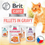 Brit care cat filetes en salsa con dados de pato latas para gato