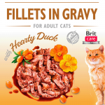 Brit care cat filetes en salsa con dados de pato latas para gato