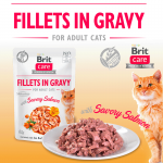 Brit care cat filetes en salsa con salmon latas para gato