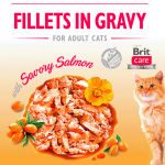 Brit care cat filetes en salsa con salmon latas para gato