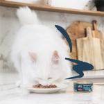 Edgard & Cooper Comida Húmeda pata Gatos Filetes de Atun