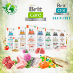 Brit care junior large breed salmon pienso para perros