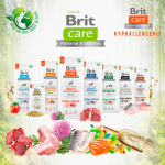Brit care adult small breed cordero arroz pienso para perros