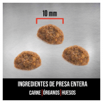 Pienso Orijen Original Catpara gatitos y gatos con pollo