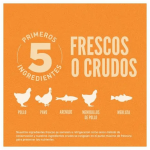 Pienso Orijen Original Catpara gatitos y gatos con pollo