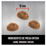 Pienso Orijen para gatitos con Pollo
