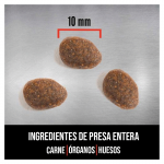 Pienso Orijen Guardian para gatos adultos con Pollo