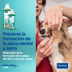 virbac-Vet Aquadent (1)