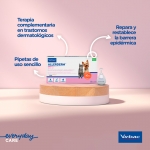 virbac-Allerdem Pipetas Dermatologicas (1)