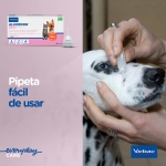 virbac-Allerdem Pipetas Dermatologicas (1)