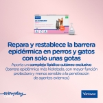 virbac-Allerdem Pipetas Dermatologicas (1)