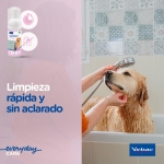 Virbac Dog Cat Champu Allerderm Espuma 100 ml