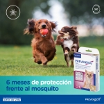 Prevender Perros CollarAntiparasitarias (1)