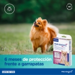 Prevender Perros CollarAntiparasitarias (1)