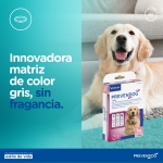 Prevender Perros CollarAntiparasitarias (1)