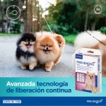 Prevender Perros CollarAntiparasitarias (1)
