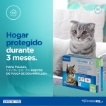 virbac-Effipro Duo Gato Pipetas Antiparasitarias (1)