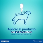 Effipro Duo pipetas antiparasitarias para perros