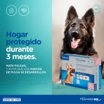 Effipro Duo pipetas antiparasitarias para perros