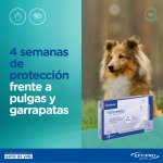 virbac-Effipro perros 20-40 kg (1)