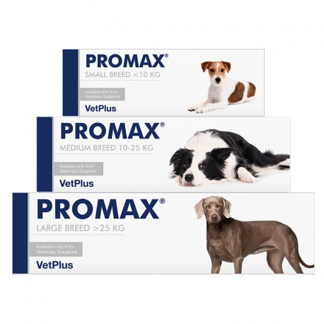 Antidiarreico Promax (1)