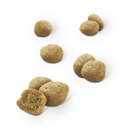 Pack Dentalife de snacks dentales para gatos de pollo