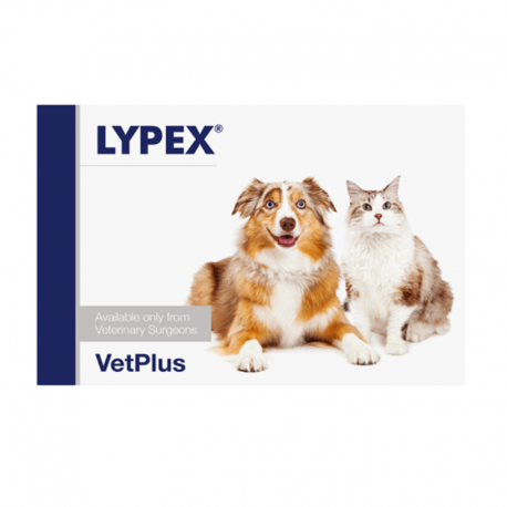vetplus-Lypex para Perro y Gato (1)
