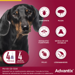Pack Súper Protección: collar Seresto menos de 8kg + Advantix 4 pipetas 4-10kg 