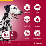 Advantix 10-25 KG Pipetas Triple Protección (6)