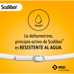 Scalibor Perro Pequeño Pack Ahorro 2 collares (48cm)