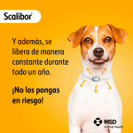 Scalibor Perro Grande Pack Ahorro 3 collares (65cm)