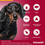 Advantix 4-10 KG Pipetas Triple Protección (1)