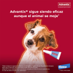 Advantix 4-10 KG Pipetas Triple Protección (1)