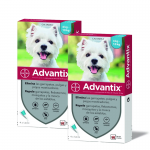 Advantix Pack Ahorro 8 pipetas para para perros pequeños (4-10kg)