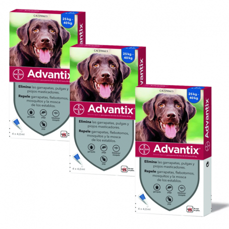 Advantix Pack Ahorro 12 pipetas para para perros grandes (+25kg)