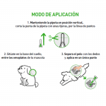 Combo 2- 10 Kg Pipetas Antiparasitaria Perro (2)