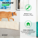 Frontline-Spot-on Combo Gato (2)
