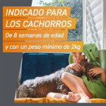 Frontpro Antiparasitario Masticable Para Perros 3 Comp.